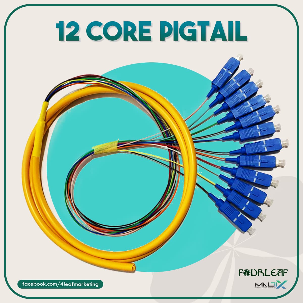 12 core pigtails